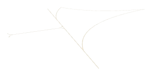 ap1_01_a_centreline_009, a piece of the GTA V map in Los Santos International Airport