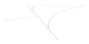 ap1_01_a_centreline_009_lod, a low-detail (LOD) model of the GTA V map in Los Santos International Airport