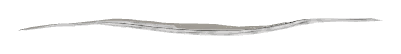 ap1_01_a_foam03, a piece of the GTA V map in Los Santos International Airport