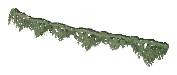 ap1_01_b_ivy00_noshadb, a vegetation piece of the GTA V map in Los Santos International Airport
