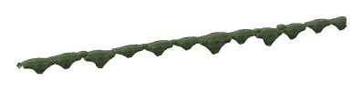 ap1_01_b_ivy05, a vegetation piece of the GTA V map in Los Santos International Airport