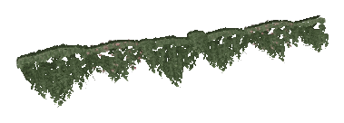 ap1_01_b_ivy06_noshad, a vegetation piece of the GTA V map in Los Santos International Airport