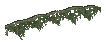 ap1_01_b_ivy09_noshad, a vegetation piece of the GTA V map in Los Santos International Airport