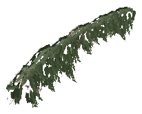 ap1_01_b_ivy09_noshadb, a vegetation piece of the GTA V map in Los Santos International Airport