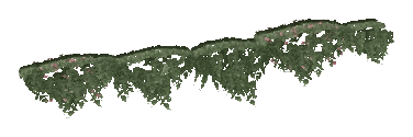 ap1_01_b_ivy11_noshad, a vegetation piece of the GTA V map in Los Santos International Airport