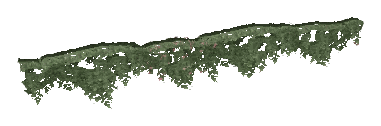 ap1_01_b_ivy11_noshadb, a vegetation piece of the GTA V map in Los Santos International Airport