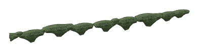 ap1_01_b_ivy12, a vegetation piece of the GTA V map in Los Santos International Airport