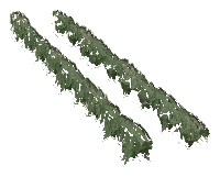 ap1_01_b_ivy13_noshad, a vegetation piece of the GTA V map in Los Santos International Airport