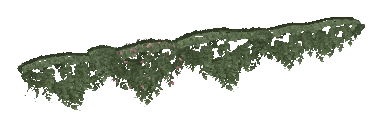 ap1_01_b_ivy14_noshad, a vegetation piece of the GTA V map in Los Santos International Airport