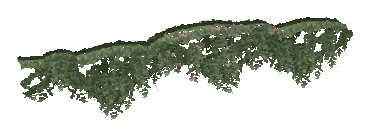 ap1_01_b_ivy14_noshadb, a vegetation piece of the GTA V map in Los Santos International Airport