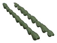 ap1_01_b_ivy15, a vegetation piece of the GTA V map in Los Santos International Airport