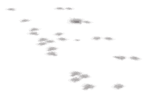 ap1_01_c_ld_overlays02, a piece of the GTA V map in Los Santos International Airport