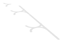 ap1_01_d_skidzcc007, a piece of the GTA V map in Los Santos International Airport