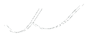 ap1_04_test_wire01, a cable mesh of the GTA V map in Los Santos International Airport