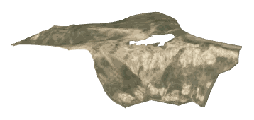 apa_ch2_04_mansion_ground_slod, a super-low-detail (SLOD) model of the GTA V map in Vinewood Hills