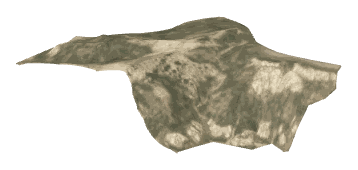 apa_ch2_04_original_terrain_slod, a super-low-detail (SLOD) model of the GTA V map in Vinewood Hills