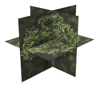 apa_ch2_04_props_combo29_37_lod, a low-detail (LOD) model of the GTA V map in Vinewood Hills