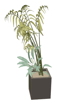 apa_mp_h_01_dining_plant2, a vegetation piece of the GTA V map