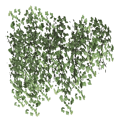 apa_mp_h_01_ivy_01, a vegetation piece of the GTA V map