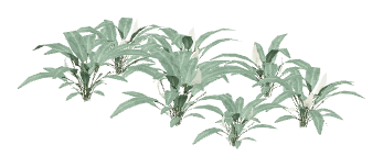 apa_mp_h_01_living_plant1, a vegetation piece of the GTA V map