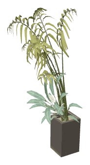 apa_mp_h_01_living_plant3, a vegetation piece of the GTA V map