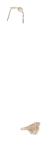 apa_mp_h_04_pants5, a piece of the GTA V map