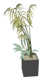 apa_mp_h_05_dining_plant2, a vegetation piece of the GTA V map