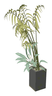 apa_mp_h_05_living_plant3, a vegetation piece of the GTA V map