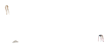 apa_mp_h_05_pants1, a piece of the GTA V map