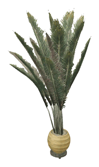 apa_mp_h_08_bedplant, a piece of the GTA V map