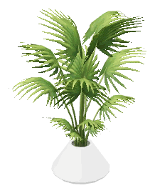 apa_mp_h_acc_plant_palm_01, a vegetation piece of the GTA V map