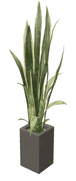 apa_mp_h_acc_plant_tall_01, a vegetation piece of the GTA V map
