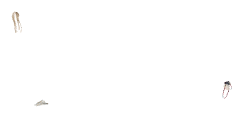 apa_mpa7__pants1, a piece of the GTA V map