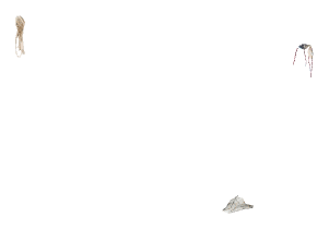 apa_stilts_b_strip_pants1, a piece of the GTA V map