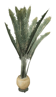 apa_v_res_m_palmplant1, a piece of the GTA V map