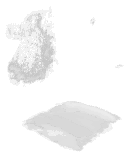 ba_bog_decals, a decal of the GTA V map