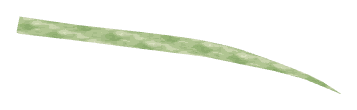 bh1_30_furgrass_01, a piece of the GTA V map in Richman