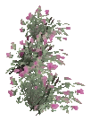 bh1_31_flowers_3, a vegetation piece of the GTA V map in Morningwood