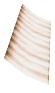 bh1_33_blg01_cloth_01a, a piece of the GTA V map in Morningwood