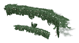 bh1_40_ivy01, a vegetation piece of the GTA V map in Rockford Hills