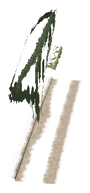 bh1_43_perim_dec_48, a decal of the GTA V map in Rockford Hills