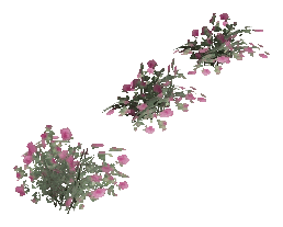 bh1_45_flowers_1, a vegetation piece of the GTA V map in Rockford Hills
