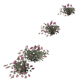bh1_45_flowers_3, a vegetation piece of the GTA V map in Rockford Hills