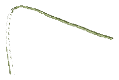 bh1_46_hdg_01, a piece of the GTA V map in Rockford Hills