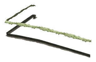 bh1_47_hedged1_01, a vegetation piece of the GTA V map in GWC and Golfing Society