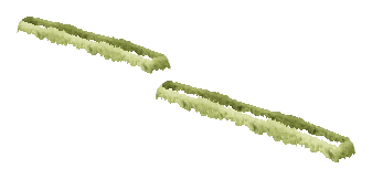 bh1_47_hedged2_07, a vegetation piece of the GTA V map in GWC and Golfing Society