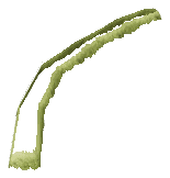 bh1_47_hedged2_10, a vegetation piece of the GTA V map in GWC and Golfing Society