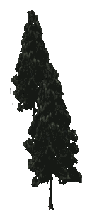 bh1_props_combo0210_03_lod, a low-detail (LOD) model of the GTA V map in GWC and Golfing Society