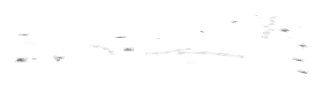 bh1_rdsect_01_r2_01_ovly, a road or track piece of the GTA V map in Richman