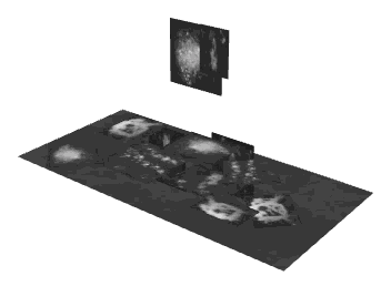 bkr_int01_toiletoverlay, a piece of the GTA V map